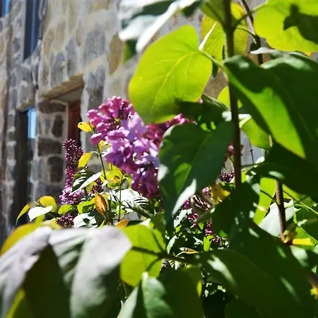 Refugio De Gredos 3* נאבארדונדה דה גרדוס