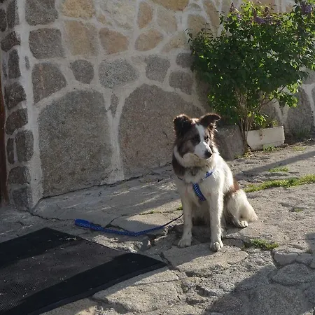 בית הארחה Refugio De Gredos