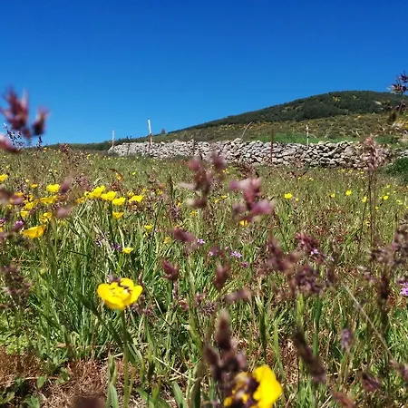 Hostal Refugio De Gredos Наварредонда-де-Гредос