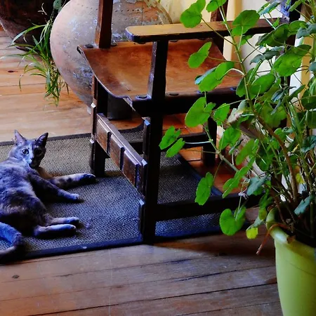 Guest house Hostal Refugio De Gredos Navarredonda de Gredos