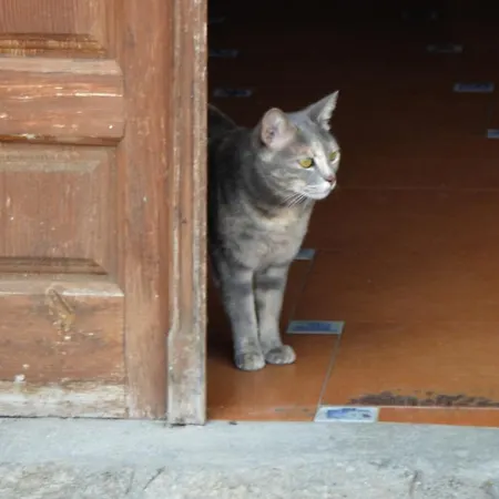בית הארחה Refugio De Gredos 3*
