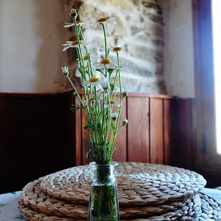 בית הארחה Refugio De Gredos נאבארדונדה דה גרדוס