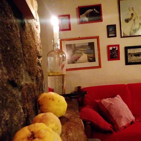 בית הארחה Refugio De Gredos נאבארדונדה דה גרדוס