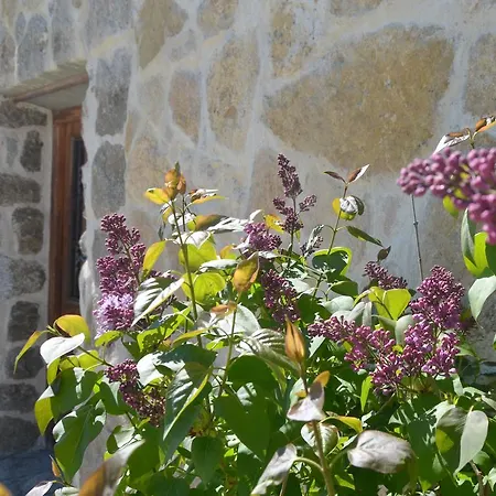 Hostal Refugio De Gredos Наварредонда-де-Гредос