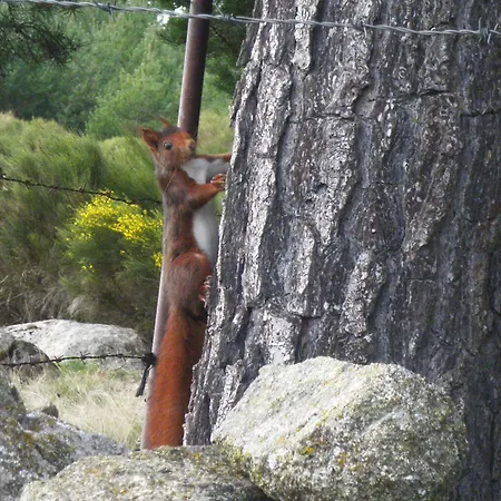 Refugio De Gredos נאבארדונדה דה גרדוס