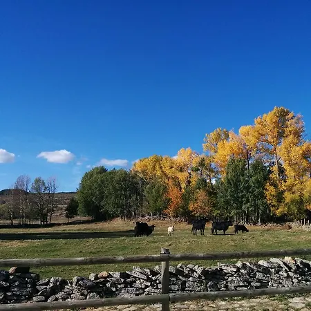 Гостевой дом Hostal Refugio De Gredos Наварредонда-де-Гредос