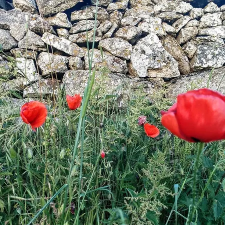Hostal Refugio De Gredos Navarredonda de Gredos