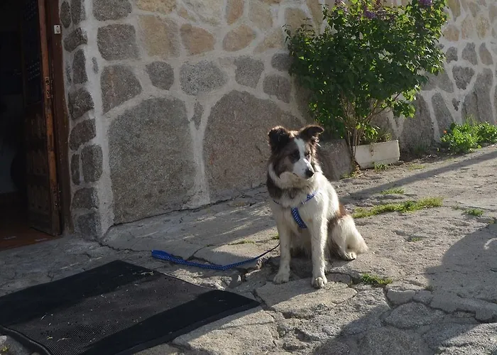 Гостевой дом Hostal Refugio De Gredos