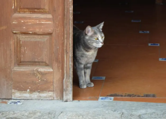 Гостевой дом Hostal Refugio De Gredos 3*