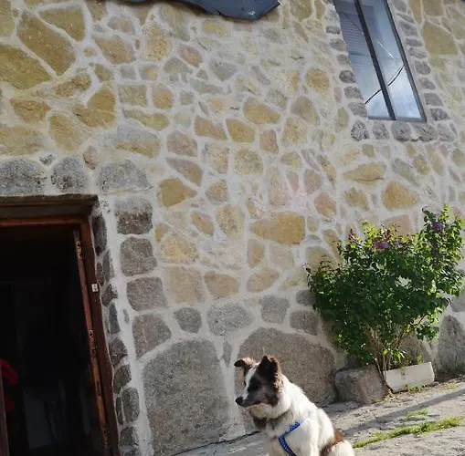 Hostal Refugio De Gredos