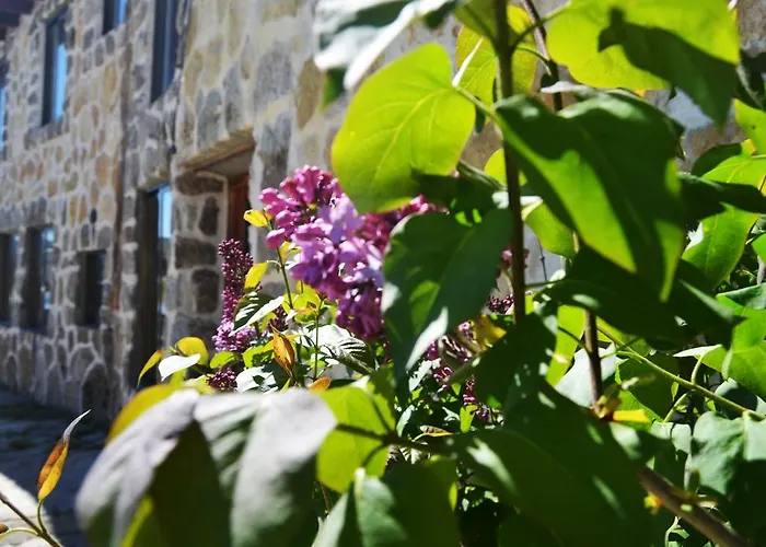 Гостевой дом Hostal Refugio De Gredos 3*