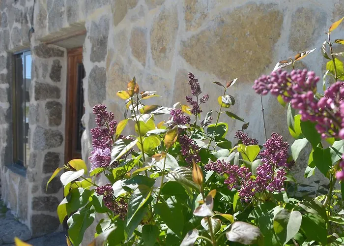 Hostal Refugio De Gredos Наварредонда-де-Гредос