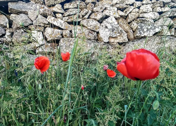 Hostal Refugio De Gredos Наварредонда-де-Гредос